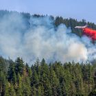 Waldbrand ausserhalb von Vancouver