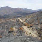 Waldbrand bei Ojen (3)