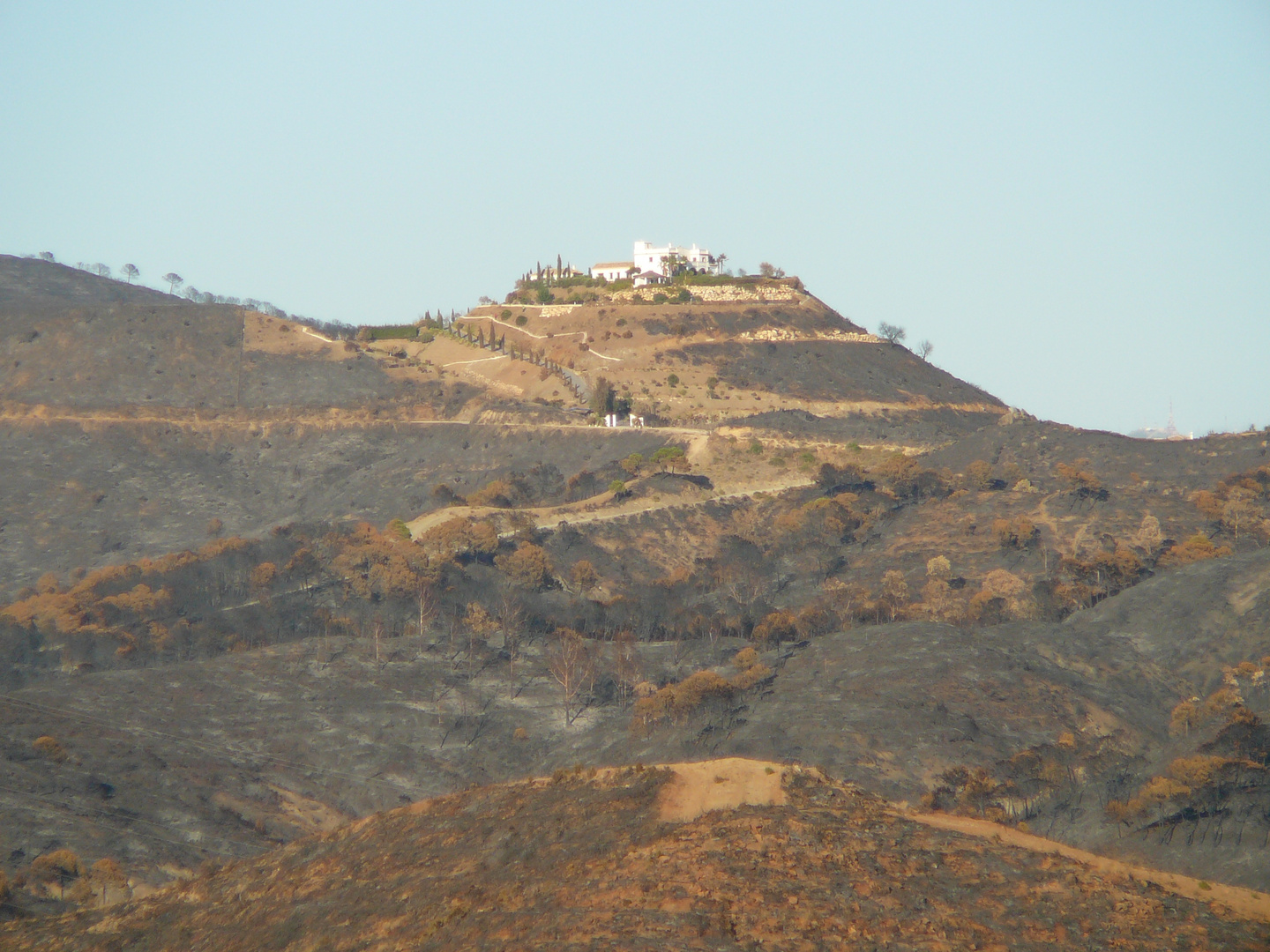 Waldbrand bei Ojen (4)