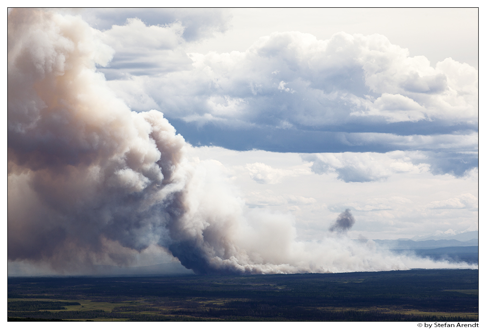 Waldbrand