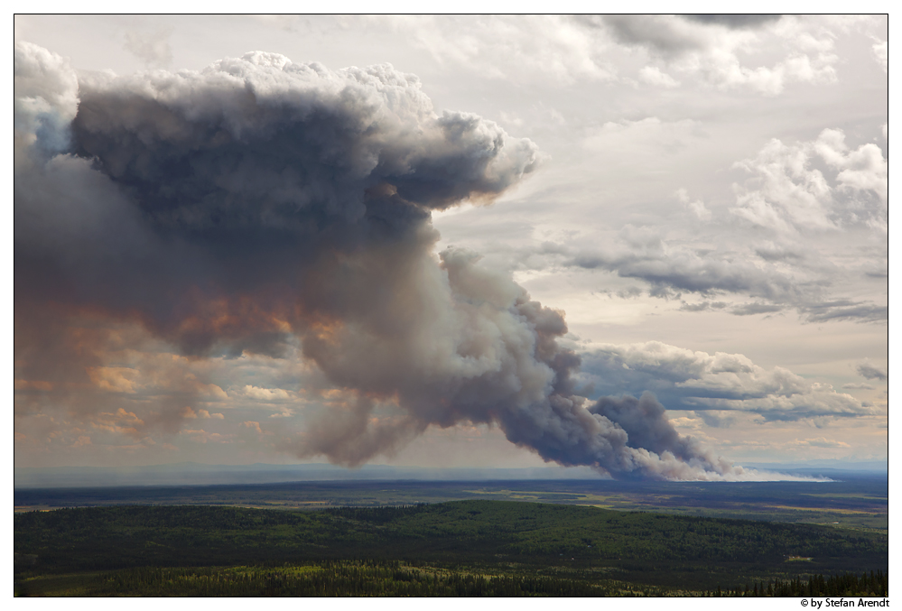 Waldbrand