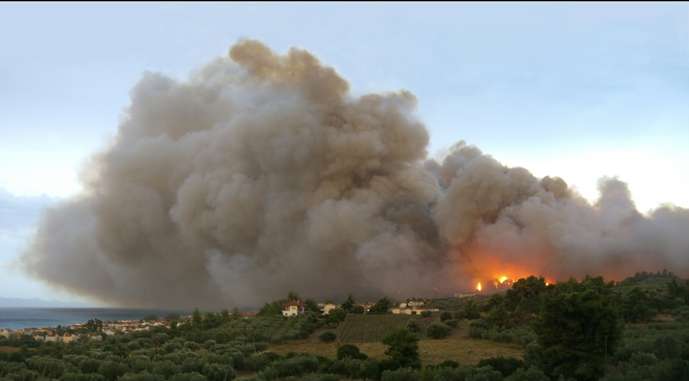 Waldbrand - Forrest Fire