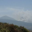 Waldbrand heute mittag um 13 Uhr