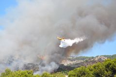 Waldbrand in Paguera 11.08.2011