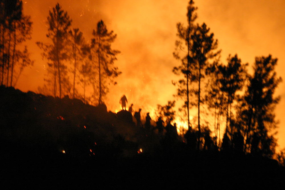 Waldbrand in Portugal