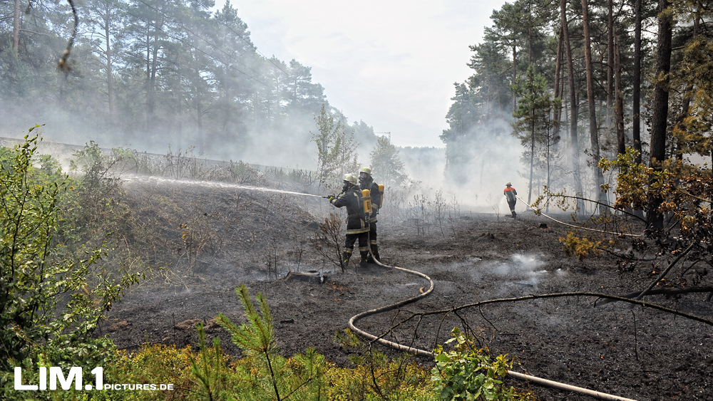 Waldbrand - Neumarkt id. Oberpfalz