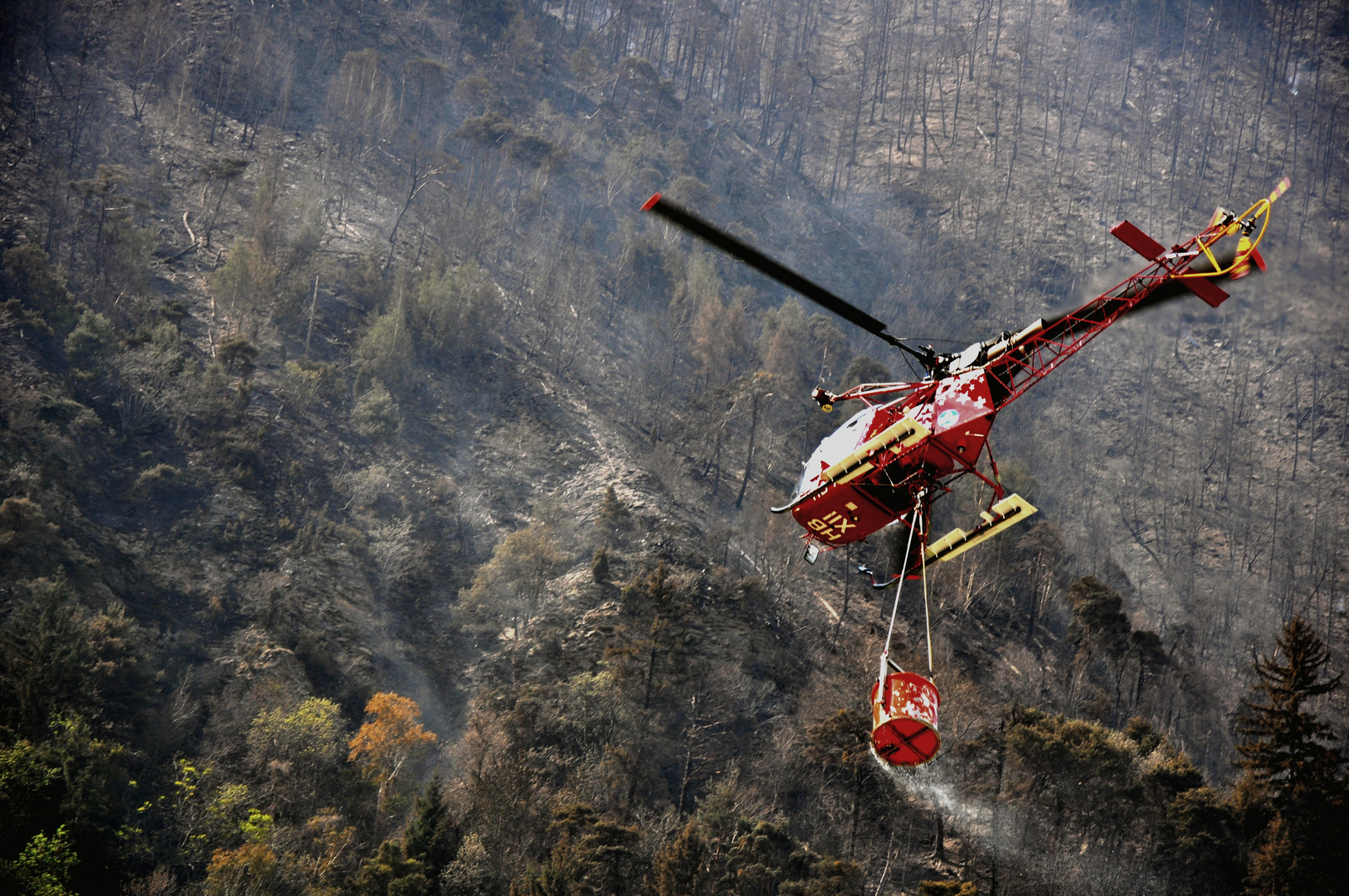 Waldbrand - Visp