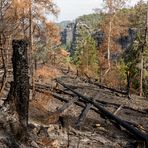 Waldbrandschäden