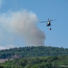 Waldbrannt im Taunus 12.06.2023