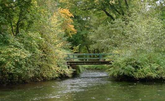 Waldbrücke