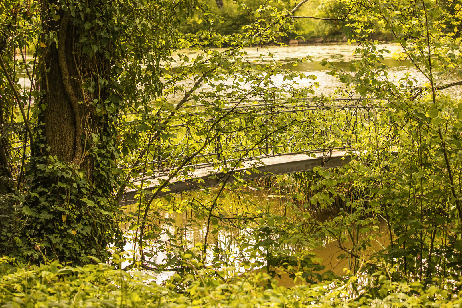 Waldbrücke