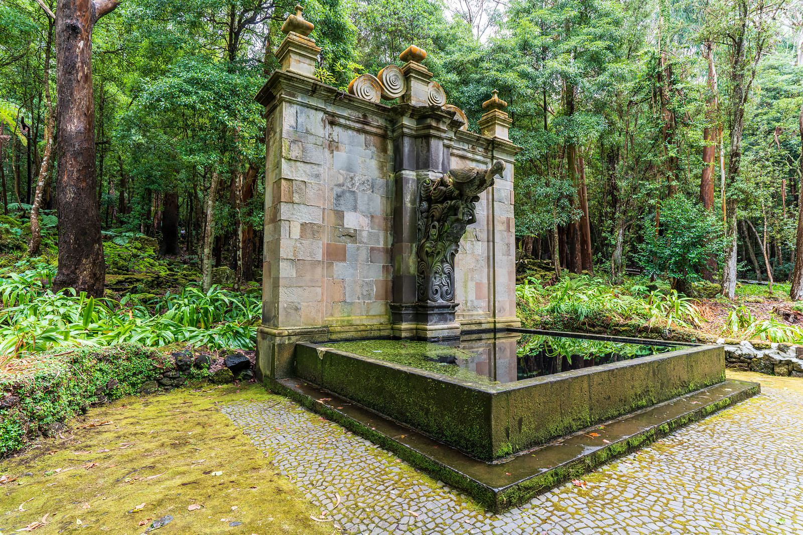 Waldbrunnen Foto & Bild world, wasser, brunnen Bilder auf