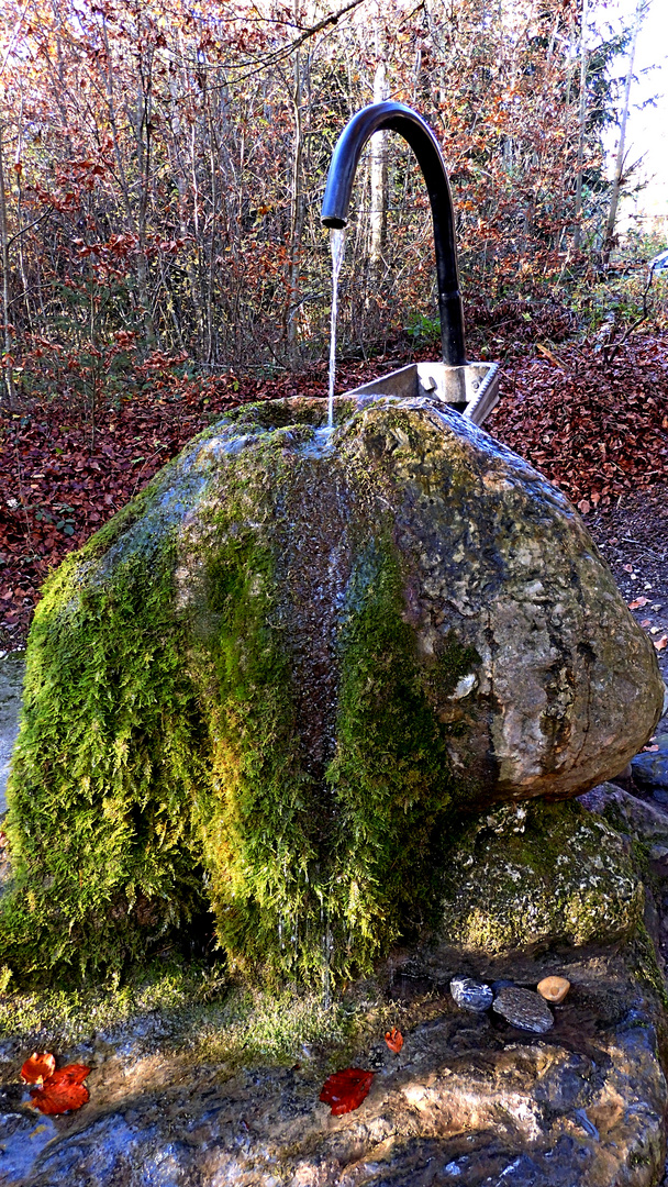 Waldbrunnen