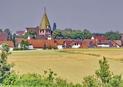 Walddorf in der Abendsonne