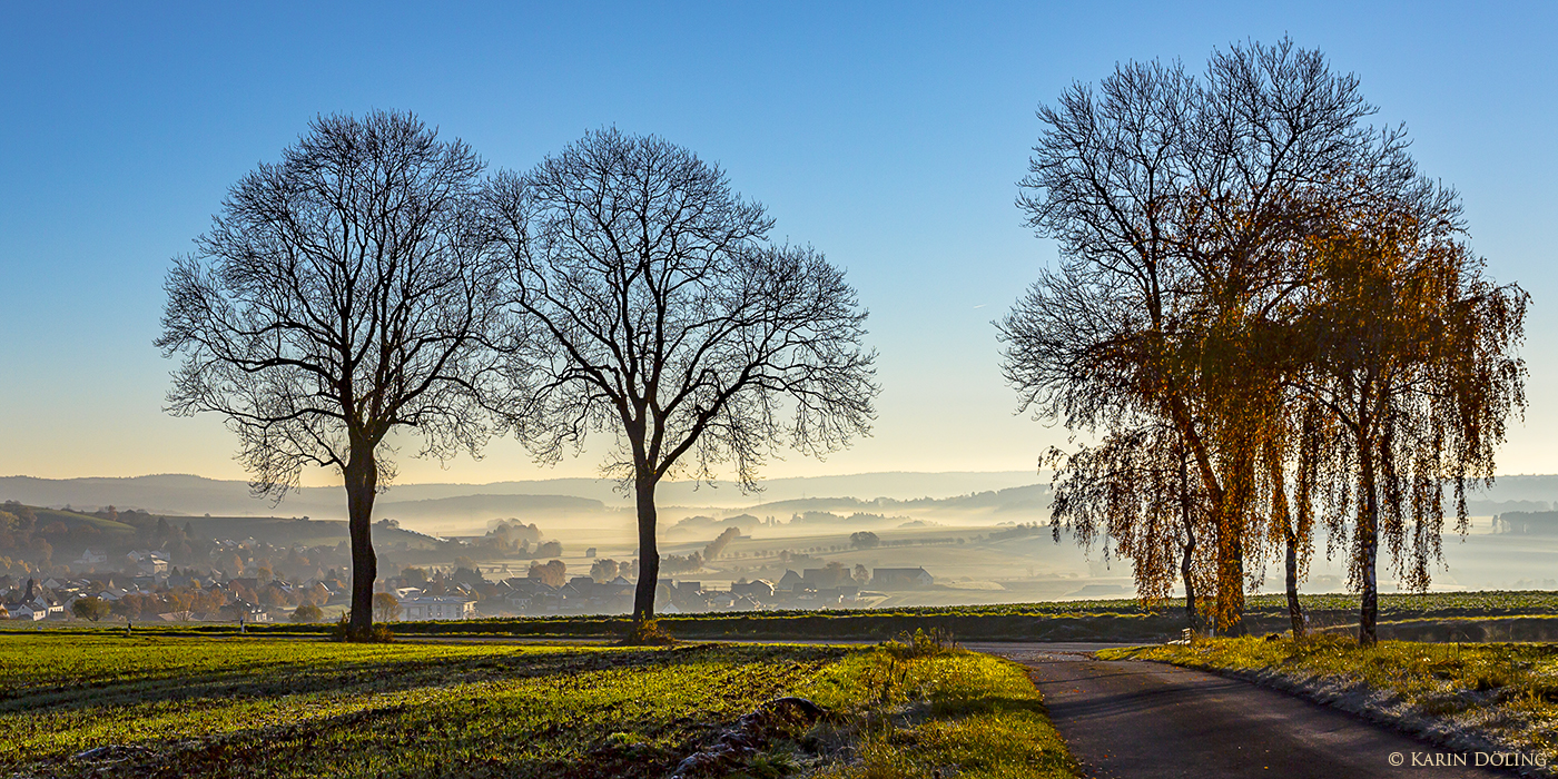 Waldeck-Sachsenhausen im Morgennebel