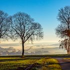 Waldeck-Sachsenhausen im Morgennebel