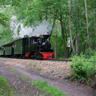 Waldeisenbahn Bad Muskau