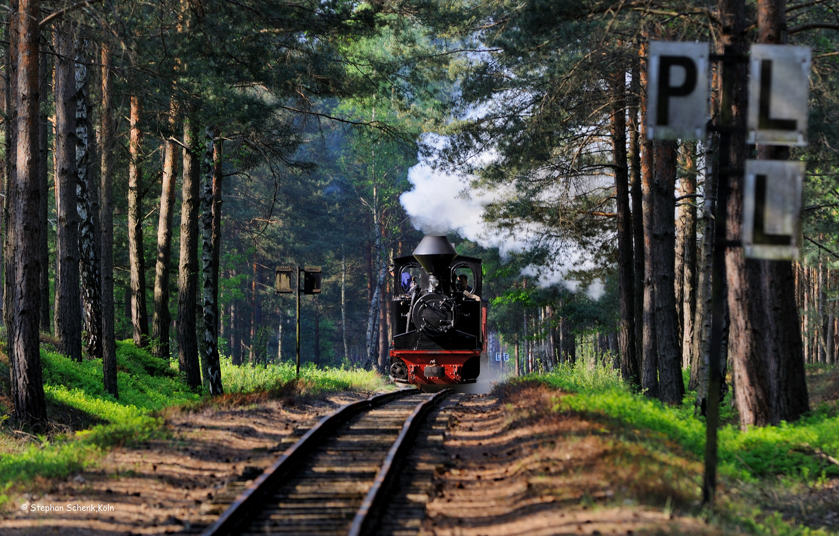 Waldeisenbahn II; ...durch die Wälder...