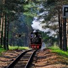 Waldeisenbahn II; ...durch die Wälder...