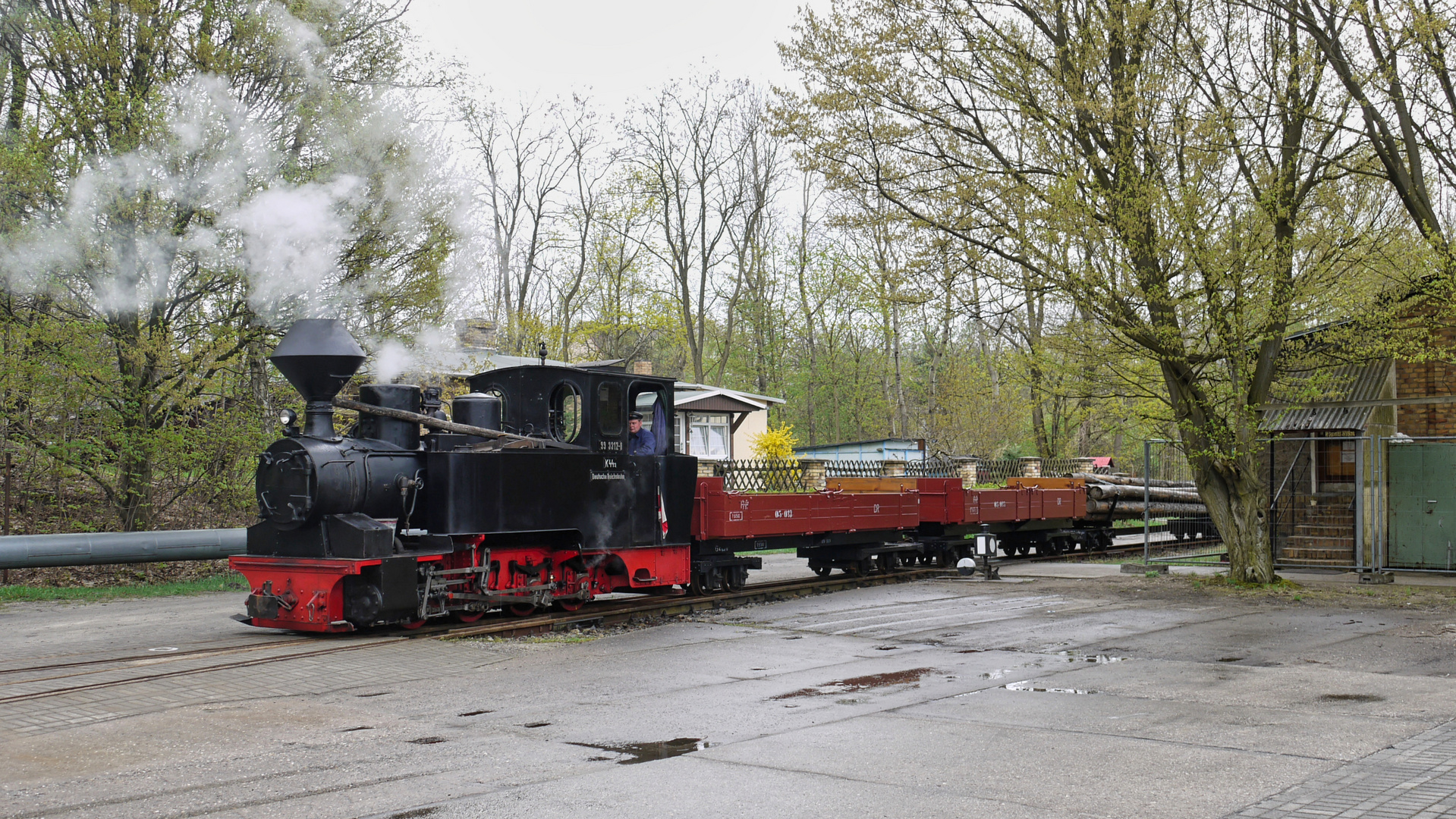 Waldeisenbahn Muskau (1)