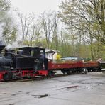 Waldeisenbahn Muskau (1)