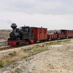 Waldeisenbahn Muskau (2)