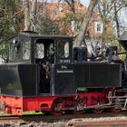 Waldeisenbahn Muskau (3)