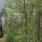 Waldeisenbahn Muskau