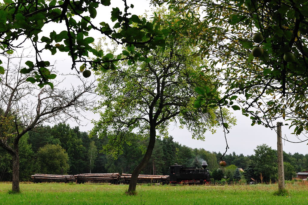 Waldeisenbahn Muskau