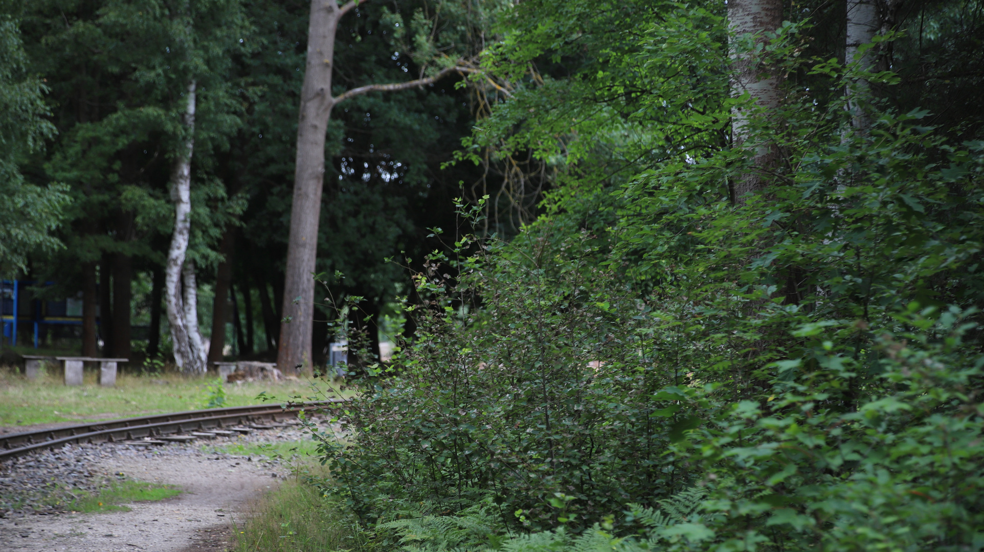 Waldeisenbahn Muskau