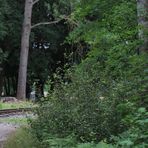 Waldeisenbahn Muskau