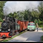 Waldeisenbahn Muskau -7