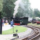 Waldeisenbahn Muskau