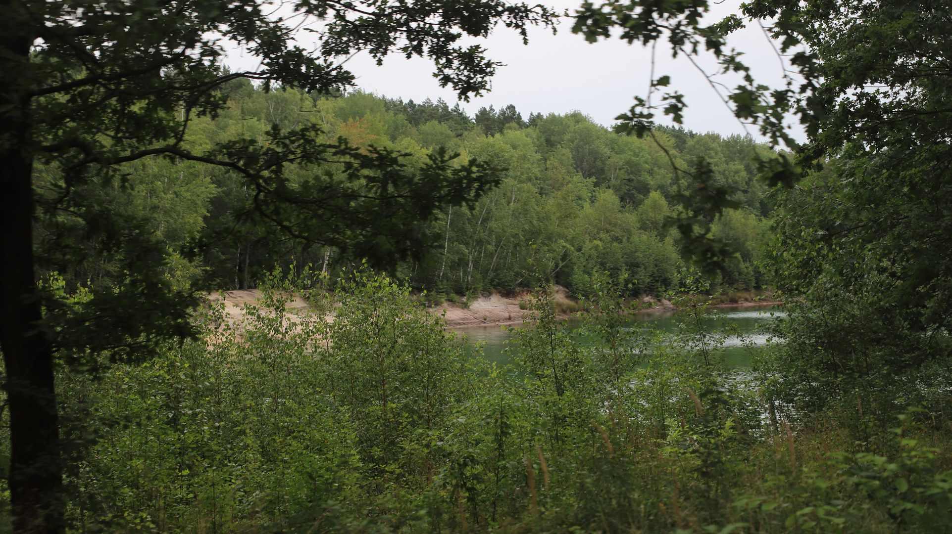 Waldeisenbahn Muskau