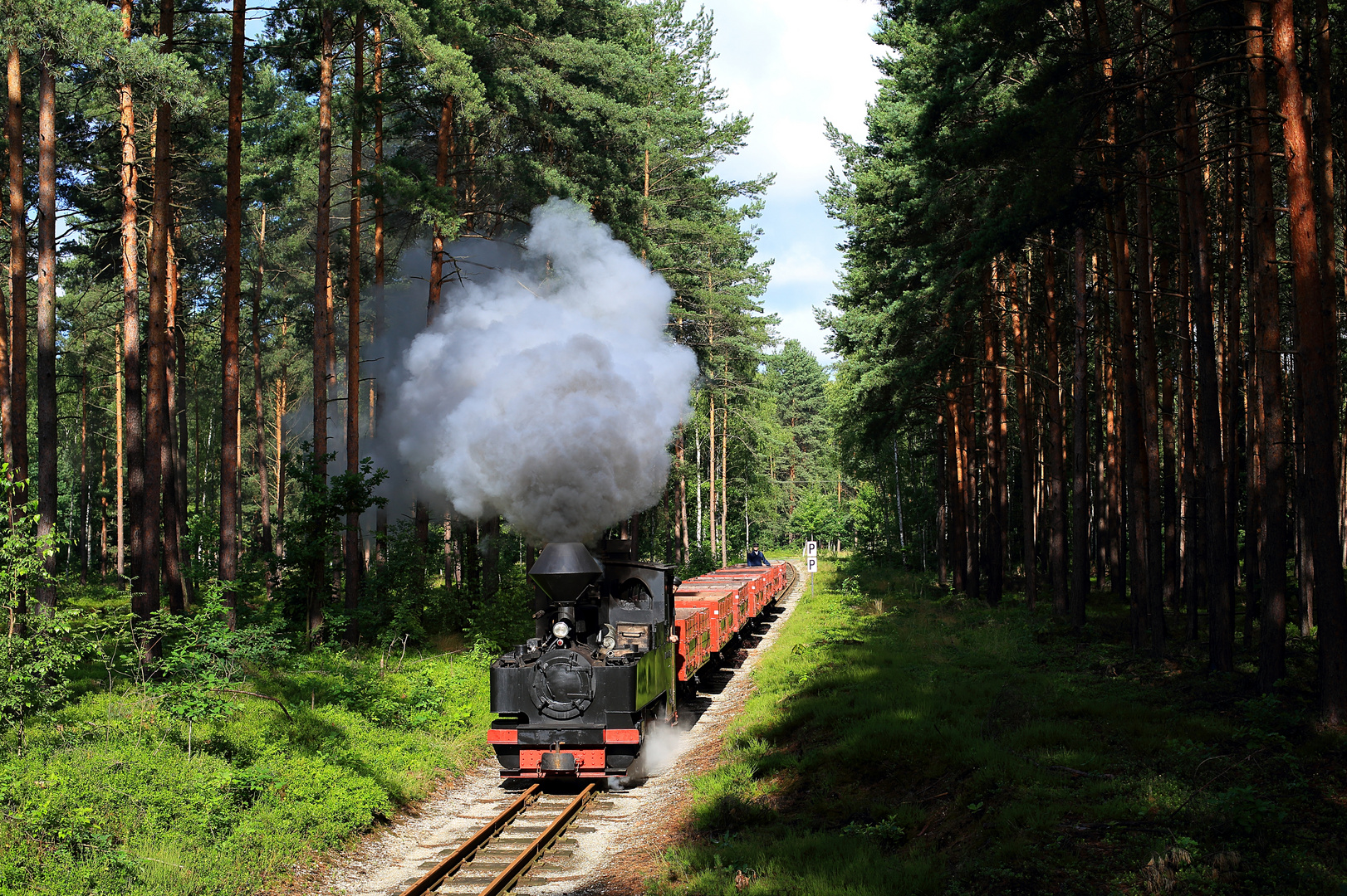 Waldeisenbahn Muskau zur frühen Stunde