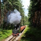 Waldeisenbahn Muskau zur frühen Stunde