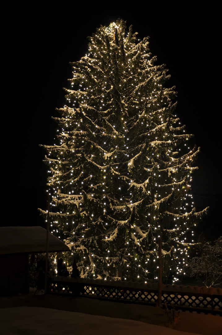 Waldenbuch/Glashütte Mega-Weihnachtsbaum