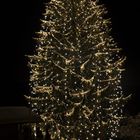 Waldenbuch/Glashütte Mega-Weihnachtsbaum