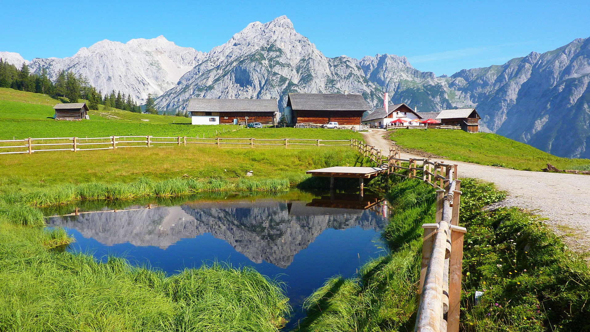 Walderalm im Sommer