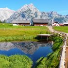 Walderalm im Sommer