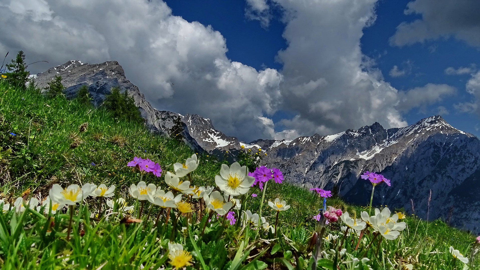 Walderalm Tirol