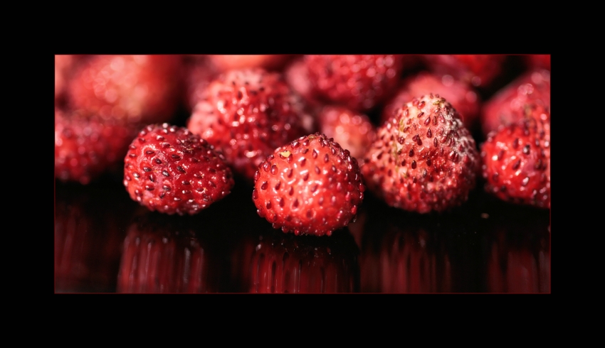 Walderdbeeren