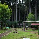 Walderlebnisspielplatz für jung und alt