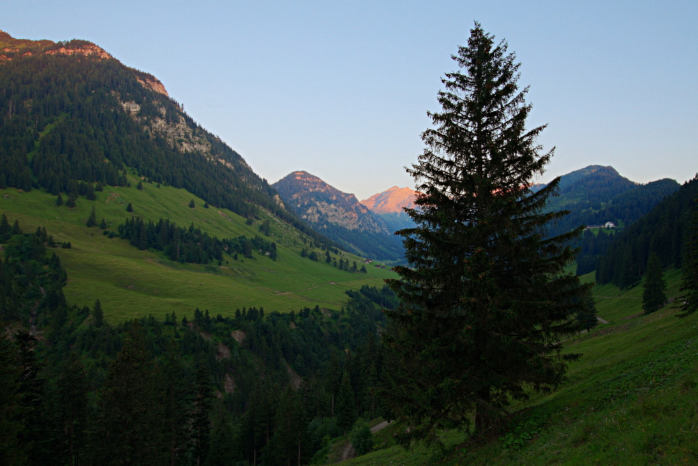 Waldesgrün und Alpenglüh'n