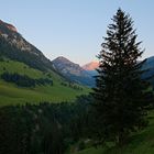 Waldesgrün und Alpenglüh'n