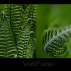 WaldFarben