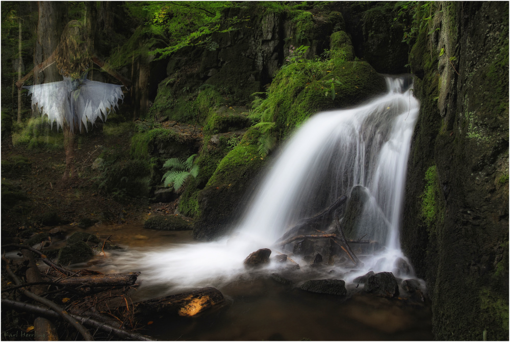 Waldfee