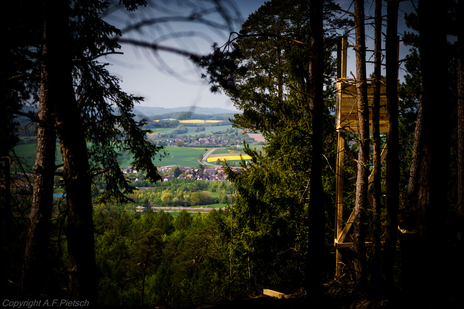 Waldfenster