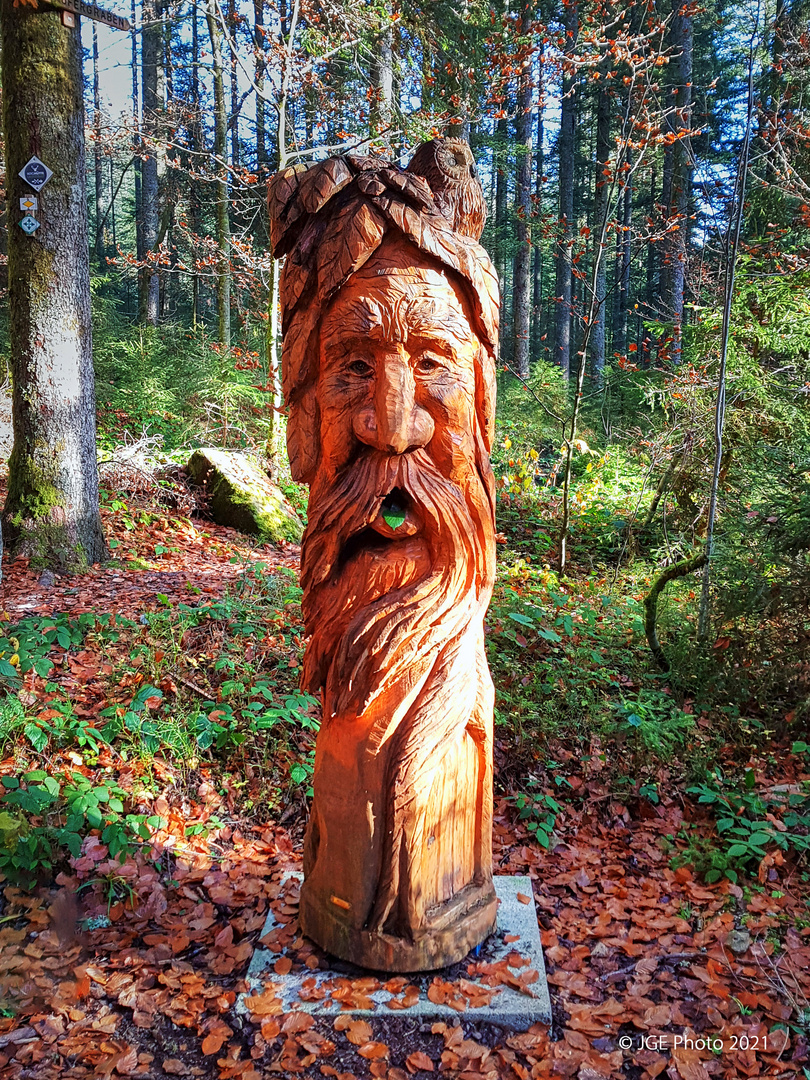Waldfigur am Wanderpfad Lauterquellen bei der Sauteichhütte