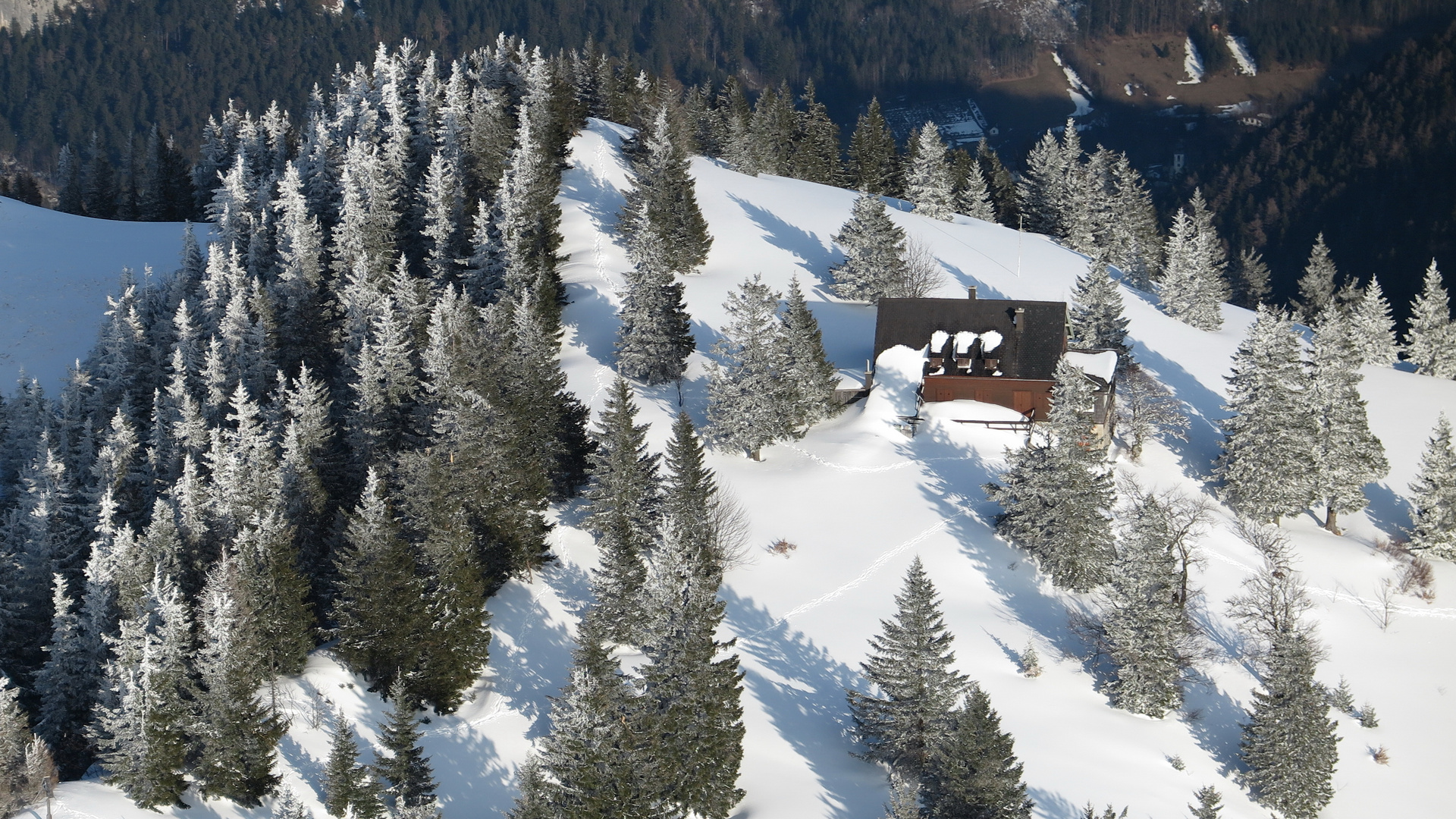 Waldfreundehütte Obersberg